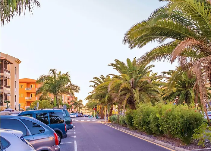 Live Sunset Callao Callao Salvaje